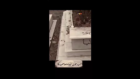 جون عالیہ صحاب