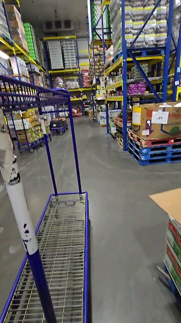 Are you supposed to eat them?