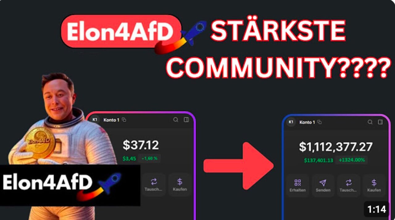 Die UNGLAUBLICHSTE Community aller Zeiten? Elon4AfD! 🚀 Elon Musk für Alice Weidel! und die AfD