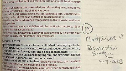 Matthew chapter 19