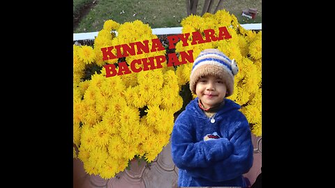 great bachpan