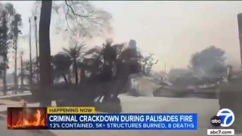 Police make 34 arrests in the Eatonfire and Palisadesfire