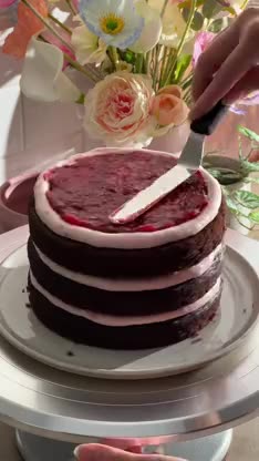 Strawberry Chocolate Cake