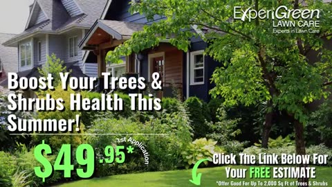 Expert Tree & Shrub Care Services: Enhance Your Landscape's Health