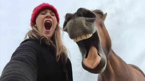 Funniest ANIMAL and HUMAN Videos 2024 will make you LAUGH SO HARD