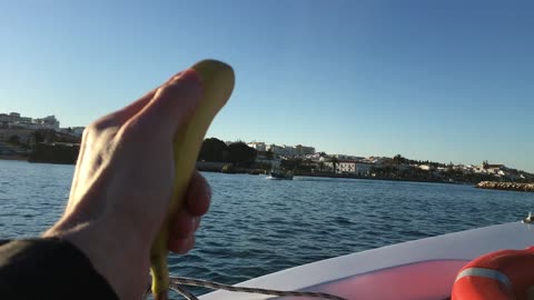 Boat Tour @ Point of Piety (Lagos, Algarve, Portugal) 28