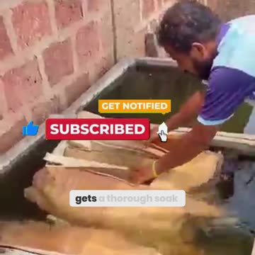 Why Are We Still Using Plastic? The Secret Eco-Friendly Alternative!