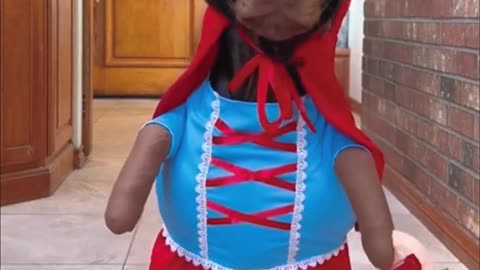 Funny Dog | Funny outfits😂