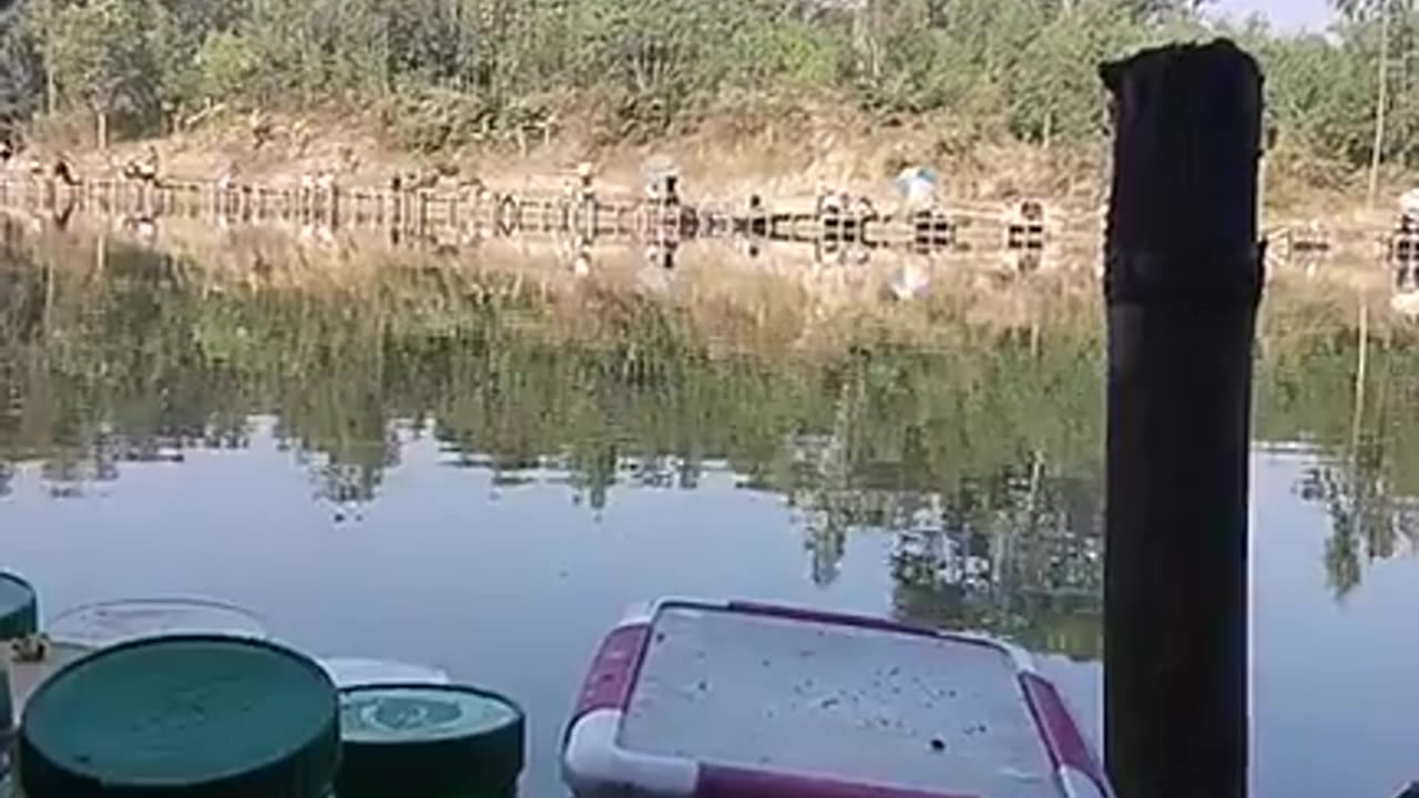 Fishing video