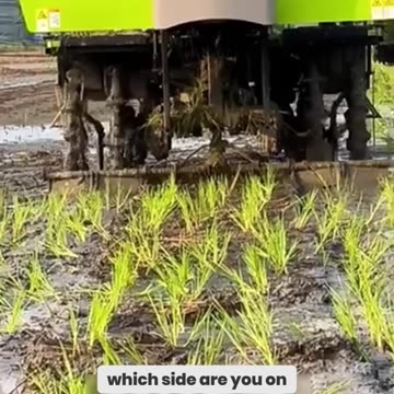 China's Tech Innovation or Unemployment Crisis: Which Will Shape Its Future?