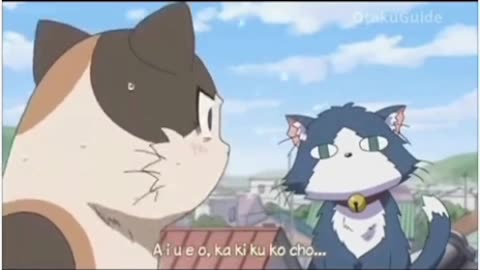 When a Japanese cat meets an English cat