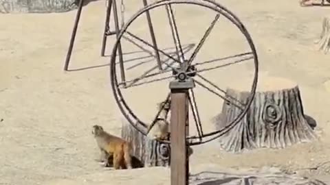 Entertainment