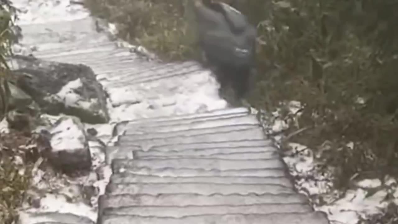 The ultimate laugh fest #fails #funny #failure #fun #funnyfail