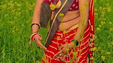 B.Ed aare Khati Khet harai Kho Jata