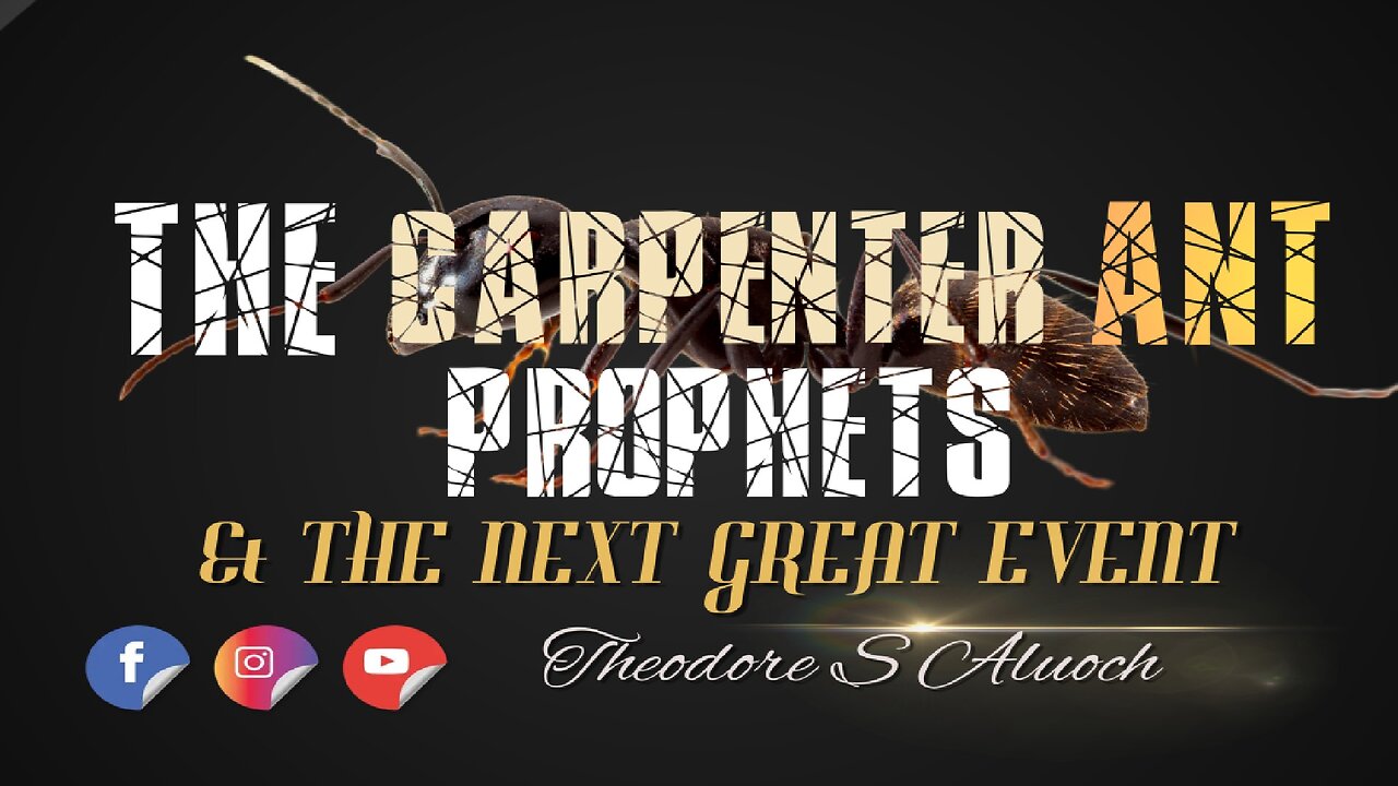 The Carpenter Ant Prophets & The Great Next Event