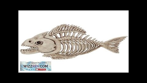 Skeleton Fish Creepy Decoration Review