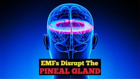 EMF Disrupts the Pineal