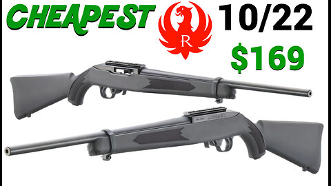 Ruger 10/22 BASE