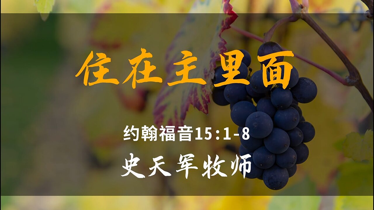 2025-2-9 《住在主里面》- 史天军牧师