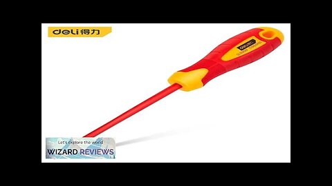 Deli 1pcs Insulated Screwdriver CRV PH SL Chrome Vanadium Steel 1000V High Review