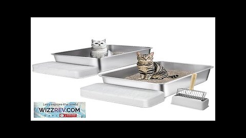 VEVOR 6 in Deep Cat Litter Box Odor-Free Litter Box with Filtering Review