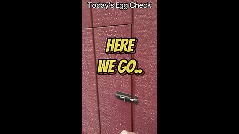 Today’s Egg Check!