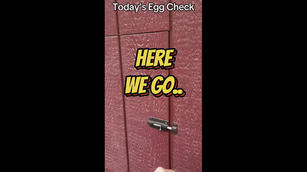 Today’s Egg Check!