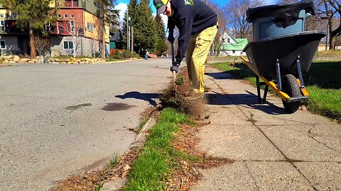 Her Lawn Guy Said It Was "TOO HARD" So I Offered To Clean It Up For FREE