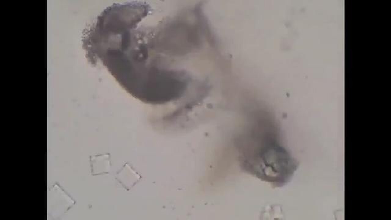 Does Nicotine Break Down & Destroy Vaccine Nanotechnology?