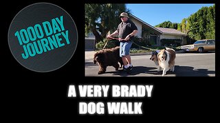 1000 Day Journey 0600 A Very Brady Dog Walk (If I Had a Time Machine)