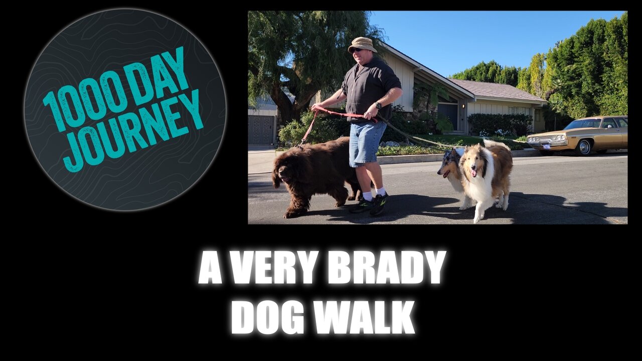 1000 Day Journey 0600 A Very Brady Dog Walk (If I Had a Time Machine)