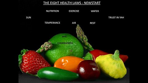 THE EIGHT HEALTH LAWS-NEWSTART_PART TWO