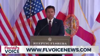 Governor Ron DeSantis introduced the DOGE Taskforce in Florida.