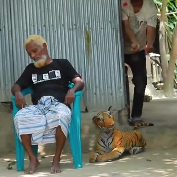 TOP FUNNIEST FAKE TIGER PRANK ON GRANDPA! | SAGOR BHUYAN