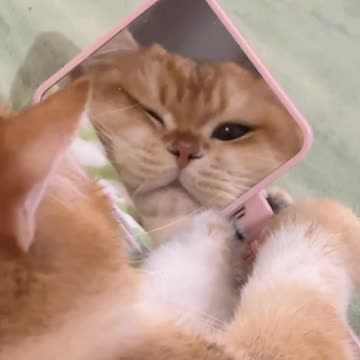 Admiring My Looks Before Sleep