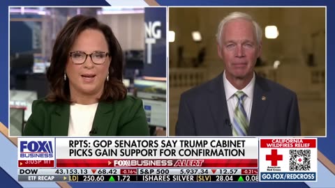 Sen. Ron Johnson: Democrats are operating in an ‘alternate universe’