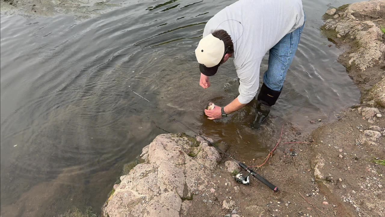Fishing the Salt River Arizona for Sonora Sucker Fish and Rainbow Trout