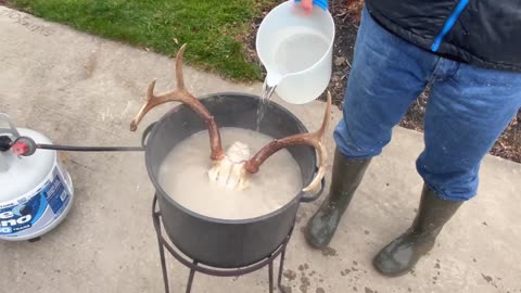 How to Make a European Mount