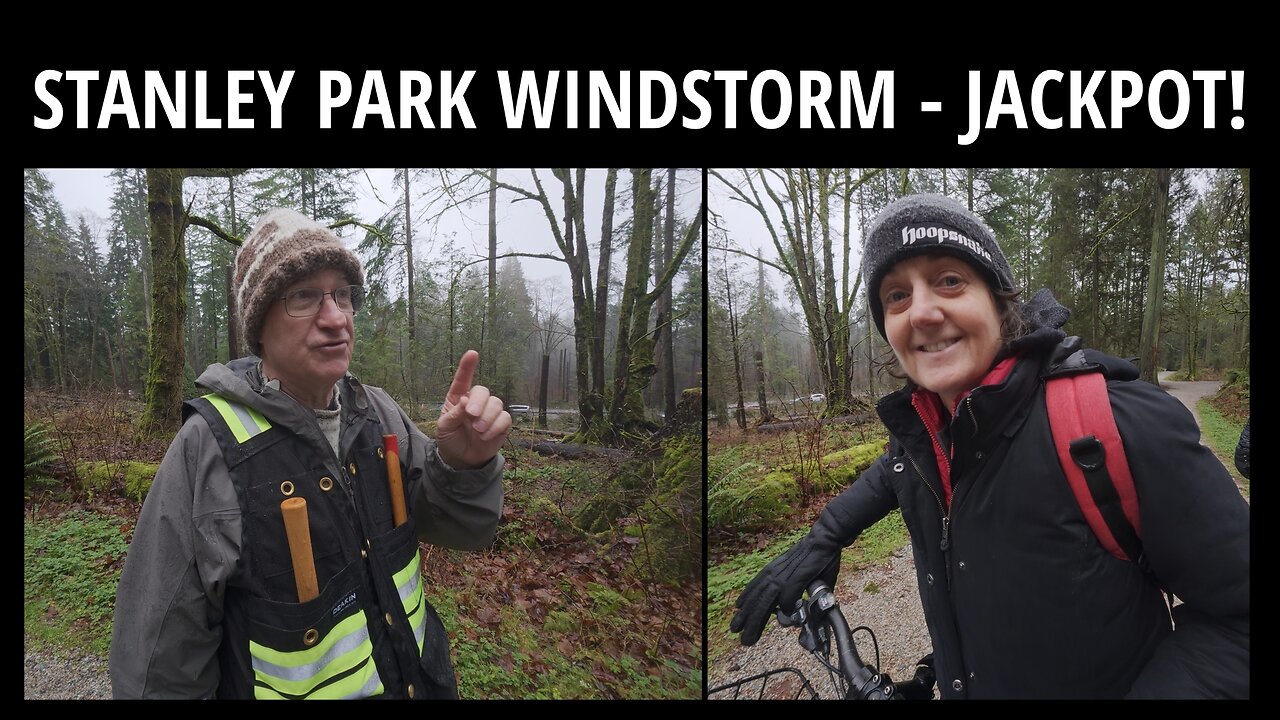 Stanley Park Windstorm - Jackpot!