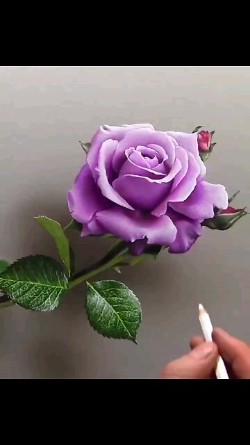 Drawing Realistic ✍️