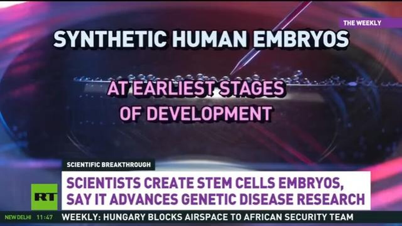 Scientists create synthetic human embryos from stem cells… what’s next? (2023)