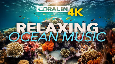 MACRO Coral Ocean Sounds and Soothing Melodies for Study and Focus