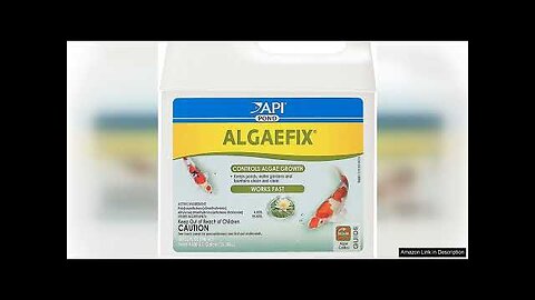 API POND ALGAEFIX Algae Control 32-Ounce Bottle, FISHAQUARI (169G) Review