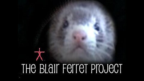 The Blair Ferret Project