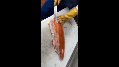 Amazing salmón Cutting Skills 💯 #shorts #fishing #fishcutting #fishcuttingskills #salmon