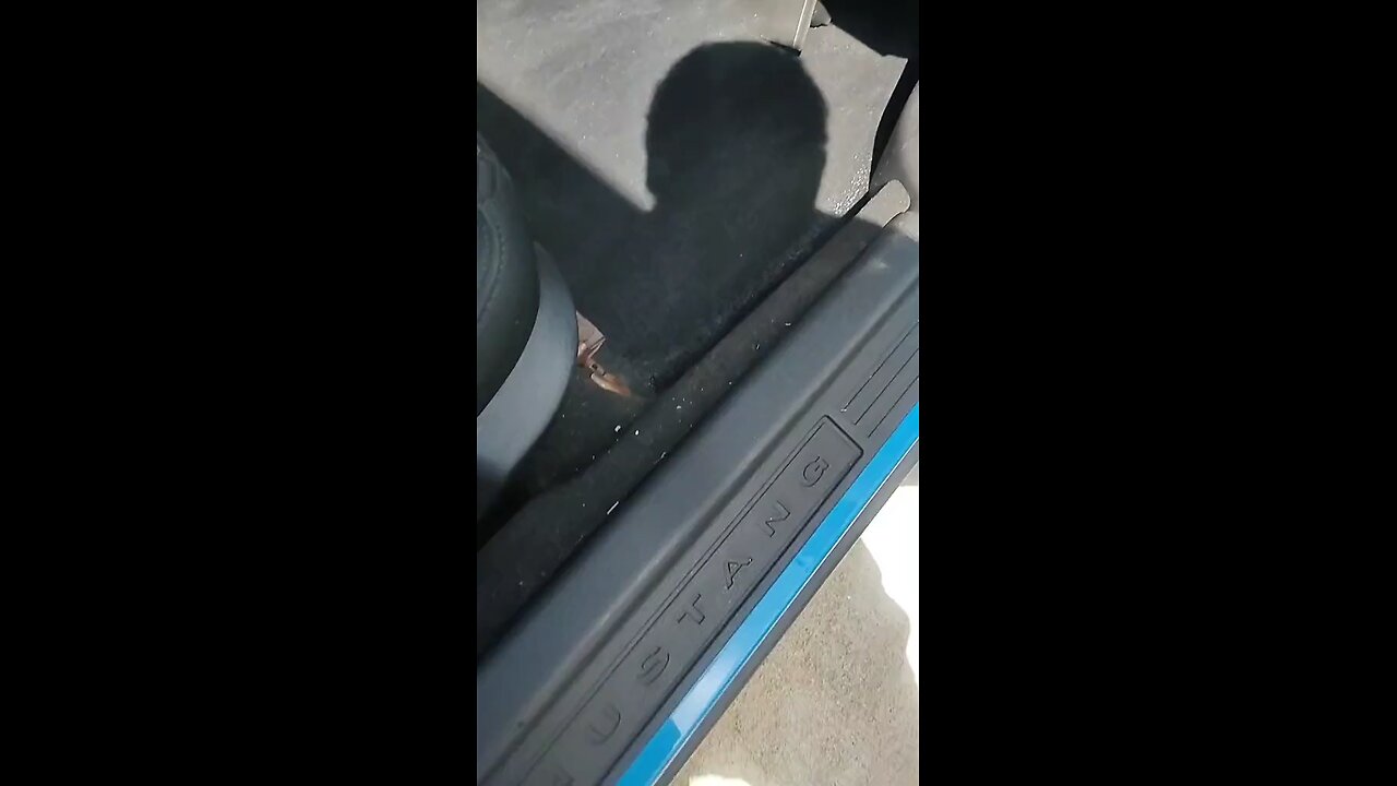 How to fix water leak on 05/14 Ford mustang drop top