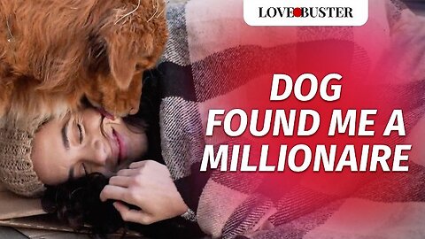 Dog Found Me A Millionaire | @LoveBusterShow