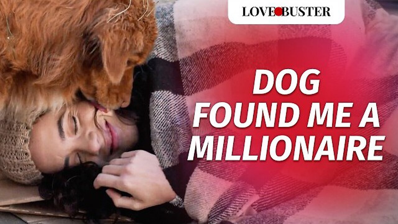 Dog Found Me A Millionaire | @LoveBusterShow