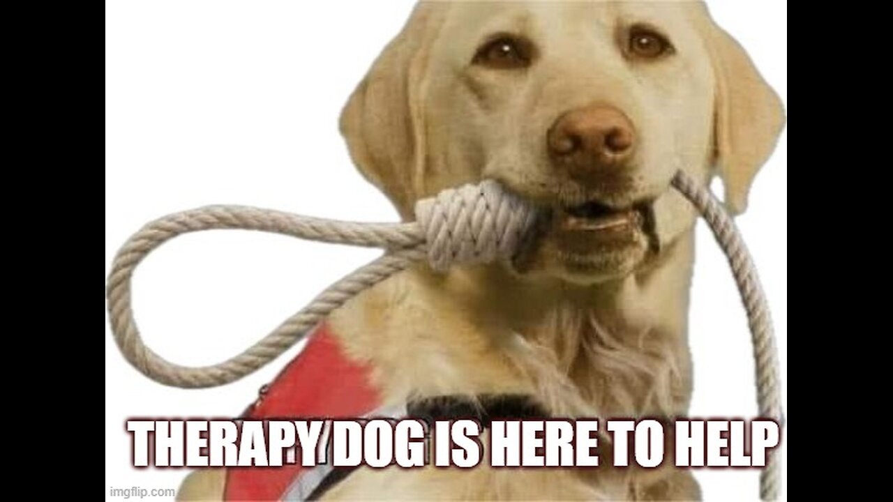 𝐔𝐍𝐁𝐄𝐋𝐈𝐄𝐕𝐀𝐁𝐋𝐄! 𝐌𝐄𝐃𝐈𝐂𝐀𝐋 𝐁𝐄𝐃: 𝐄𝐯𝐞𝐫𝐲𝐭𝐡𝐢𝐧𝐠 𝐖𝐢𝐥𝐥 𝐁𝐞 𝐂𝐡𝐚𝐧𝐠𝐞𝐝