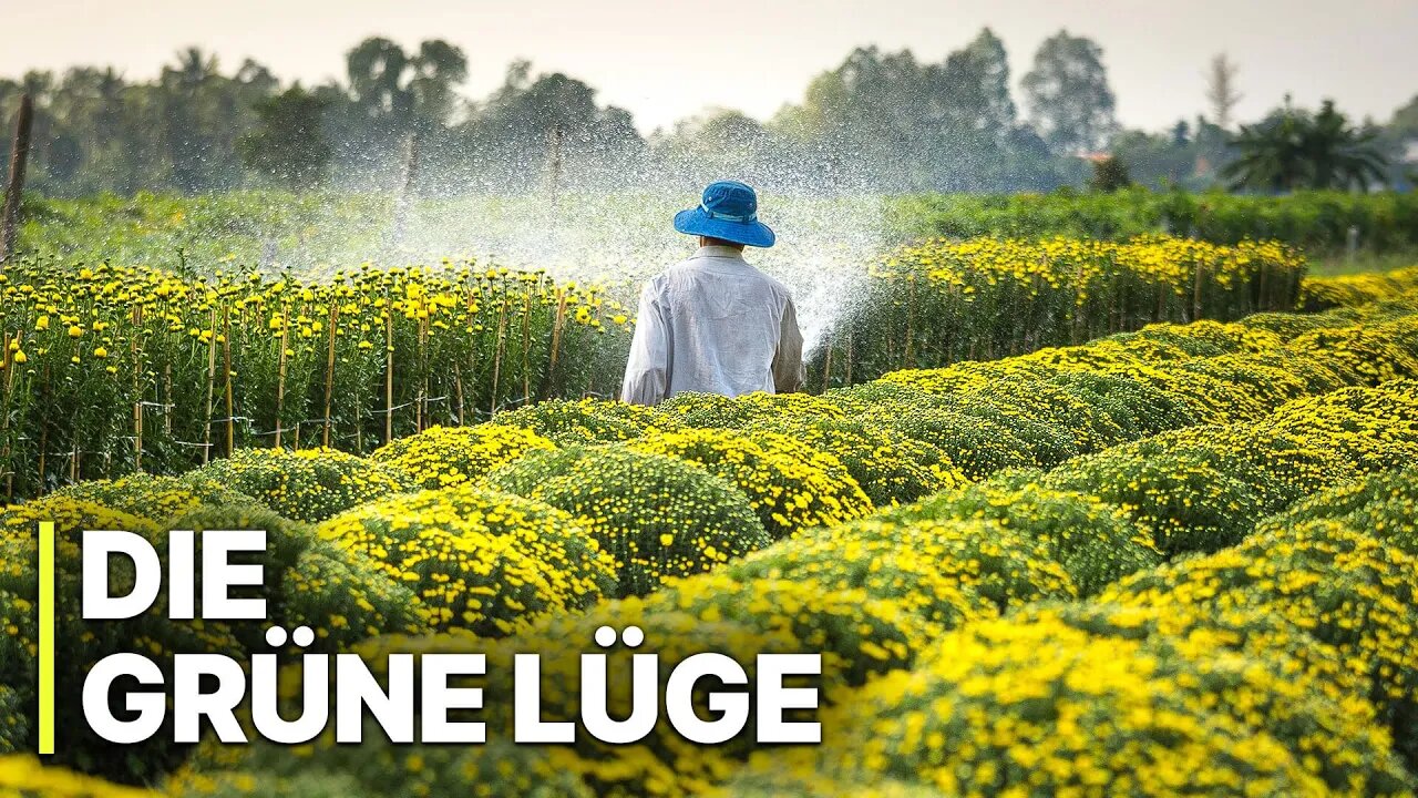 Moconomy🥔🪠🧠👉 Die Grüne Lüge | Die Masche mit den umweltfreundlichen Produkten |